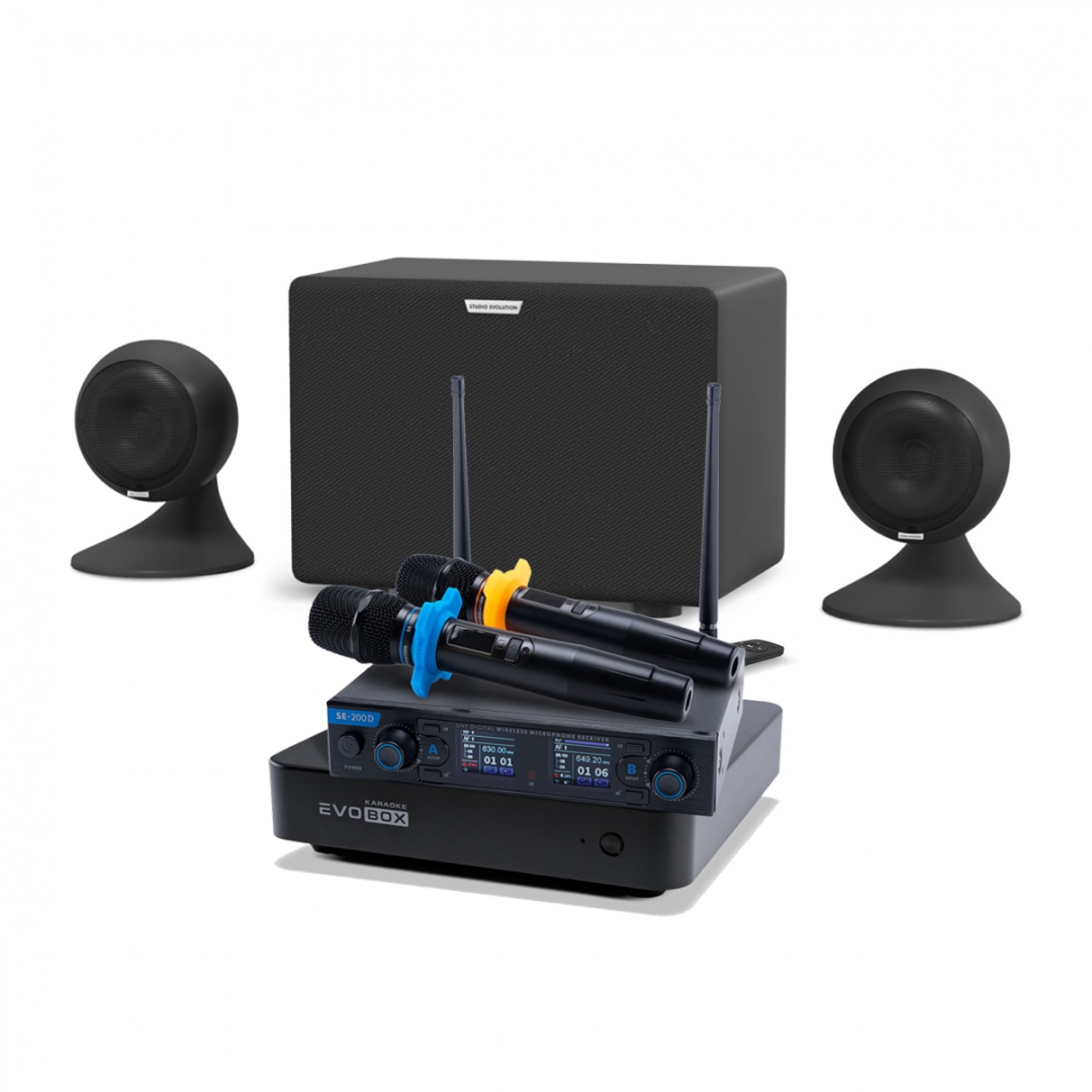 караоке-комплект EVOBOX + EvoSound Sphere 2.1 в Омской области