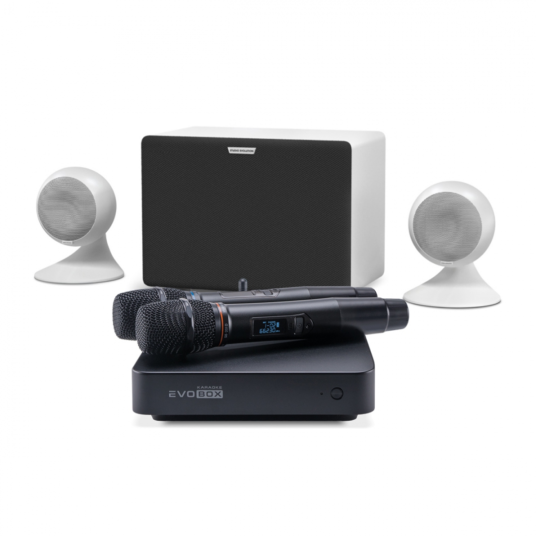 караоке-комплект EVOBOX Classic + EvoSound Sphere 2.1 в Омской области