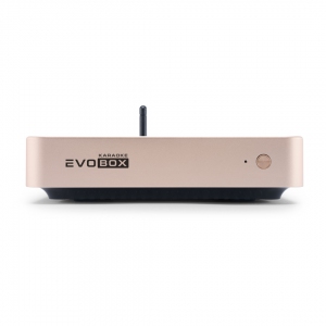 EVOBOX Plus караоке-система для дома в Омской области