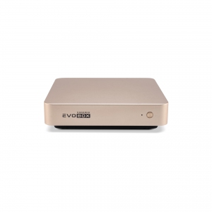 EVOBOX с микрофонами в Омской области